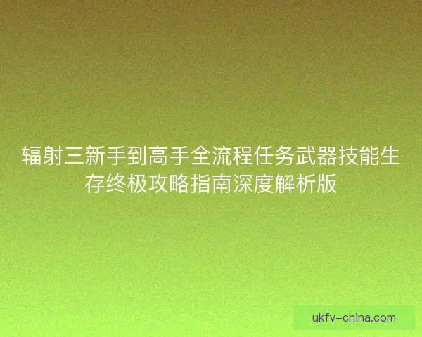 辐射三新手到高手全流程任务武器技能生存终极攻略指南深度解析版