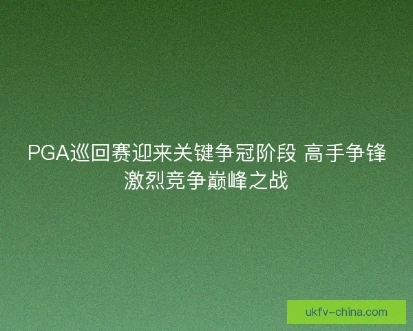 PGA巡回赛迎来关键争冠阶段 高手争锋激烈竞争巅峰之战 PGA巡回赛迎来关键争冠阶段 高手争锋激烈竞争巅峰之战